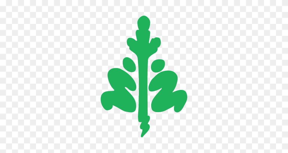 Tree Canada, Green, Leaf, Plant, Person Free Png