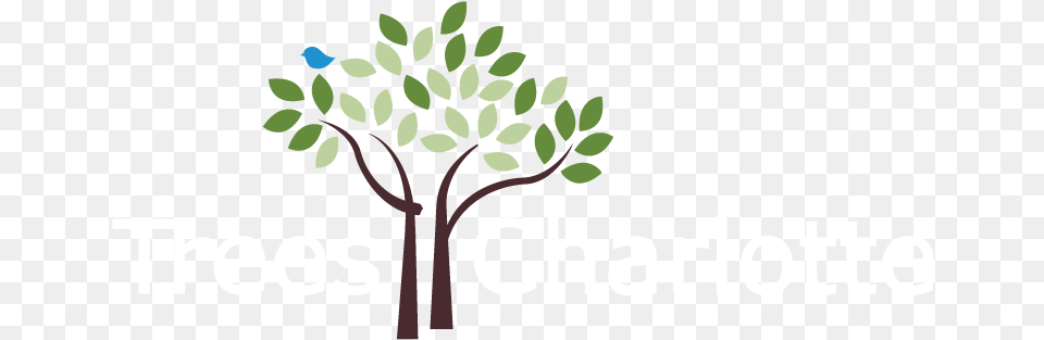 Tree Canopy Conservation Trees Charlotte Logo, Plant, Vegetation, Art, Green Free Png Download