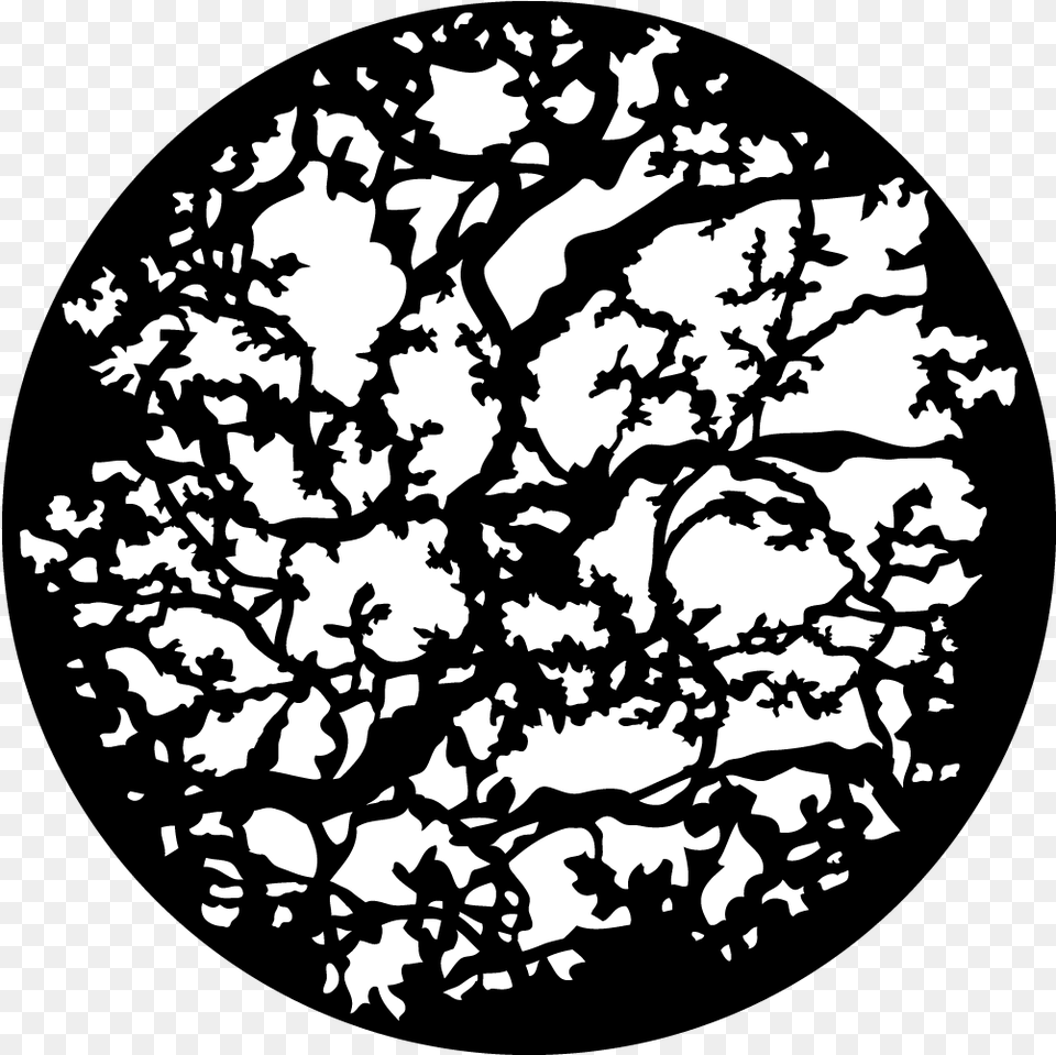 Tree Canopy Look Order Apollou0027s U0027budding Branches, Silhouette, Art, Pattern Png