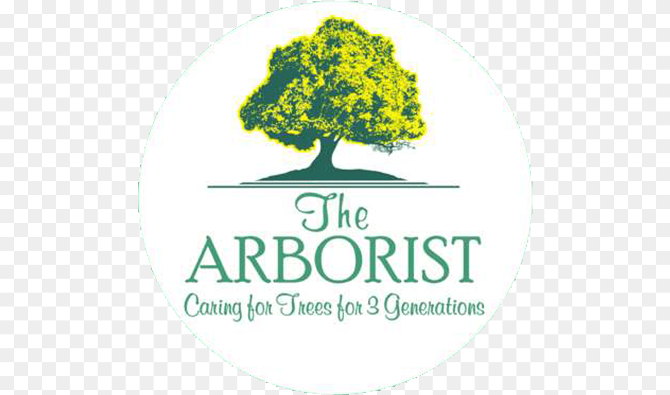 Tree Care Surrey Home The Arborist Miami Carrollton Sacred Heart School, Plant, Sticker, Oak, Logo Free Png