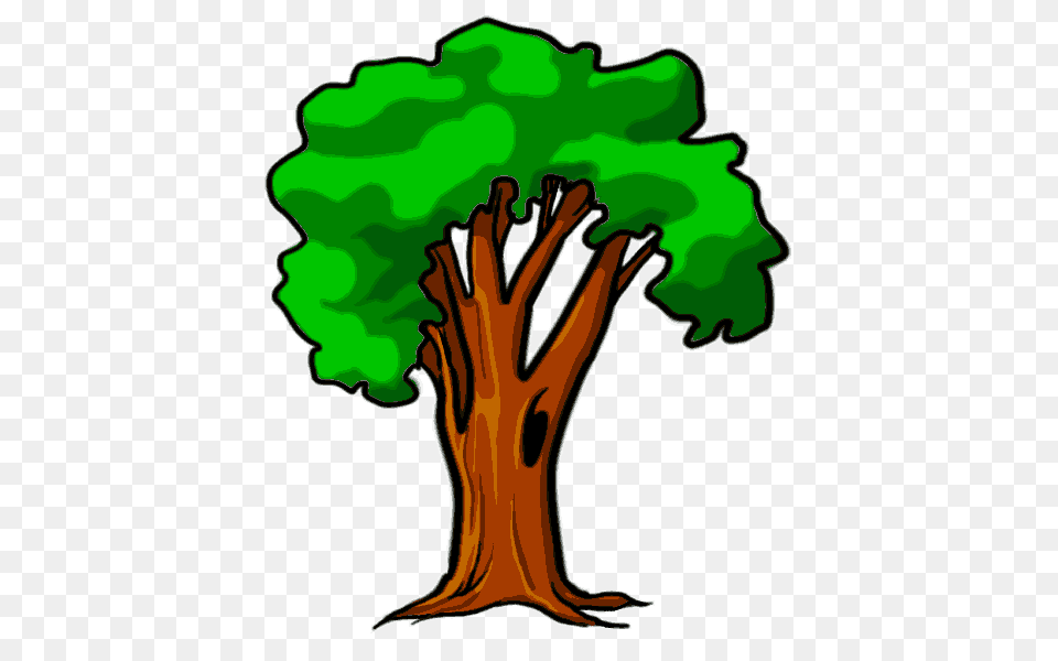 Tree Cartoon, Plant, Tree Trunk, Person Free Png