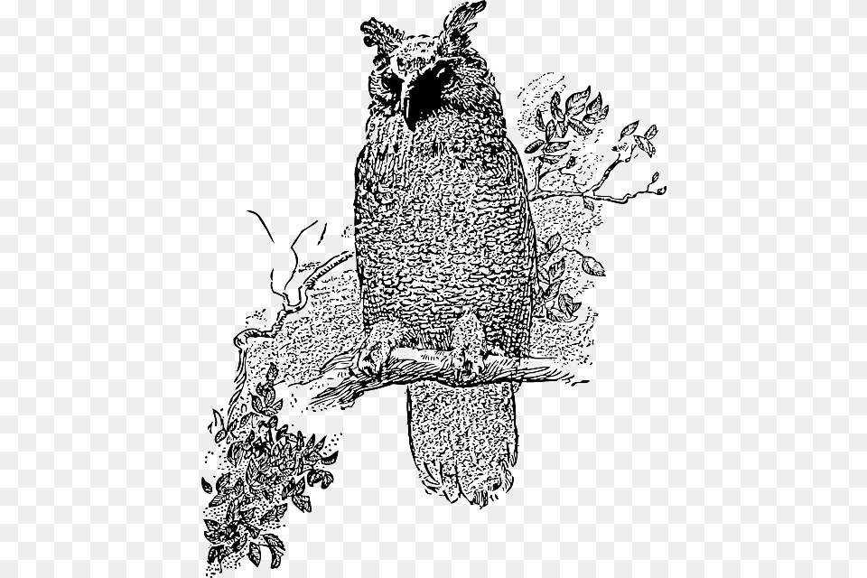 Tree Cartoon Bird Owl Branch Stand Night Vine Owls Clipart Black And White, Art, Animal, Chicken, Fowl Free Png Download