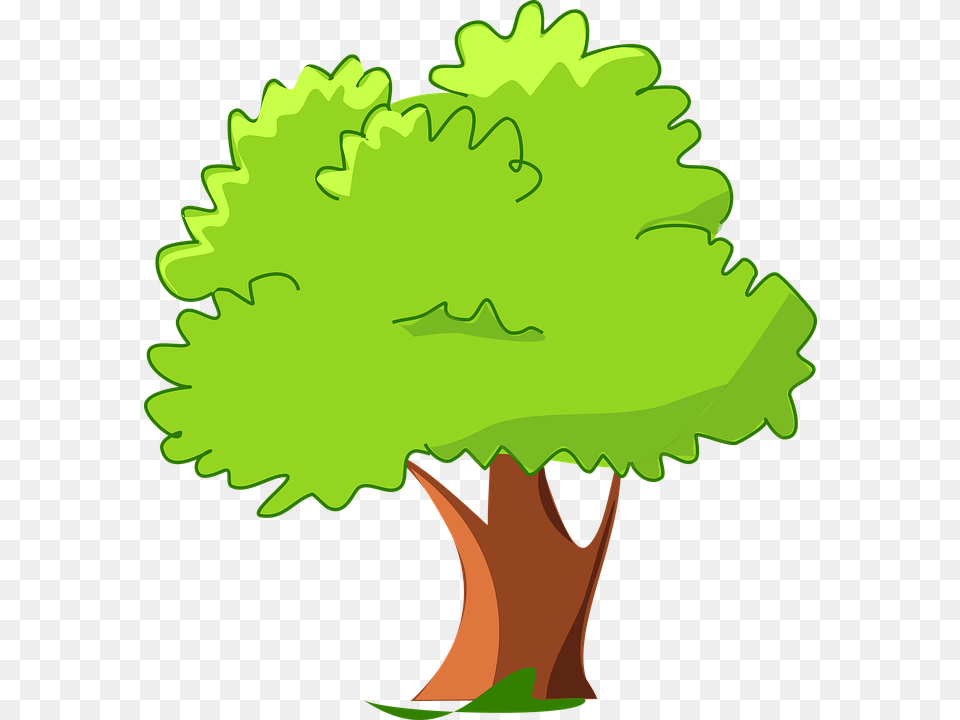 Tree Cartoon Image, Green, Leaf, Potted Plant, Plant Free Transparent Png