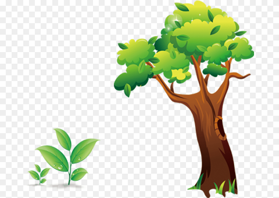 Tree Cartoon Shulin District Leaf Tree Cartoon, Green, Plant, Vegetation, Potted Plant Free Transparent Png