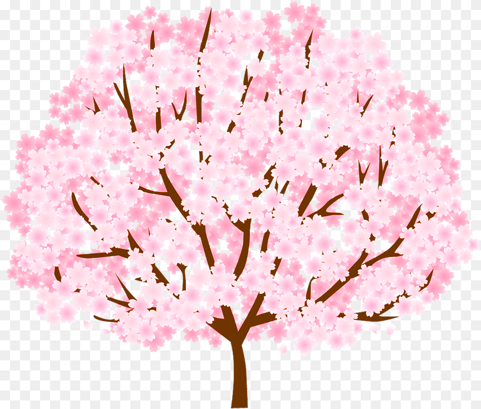 Tree Cherry Blossom Spring Free On Pixabay Cherry Blossom, Flower, Plant, Cherry Blossom, Chandelier Png Image