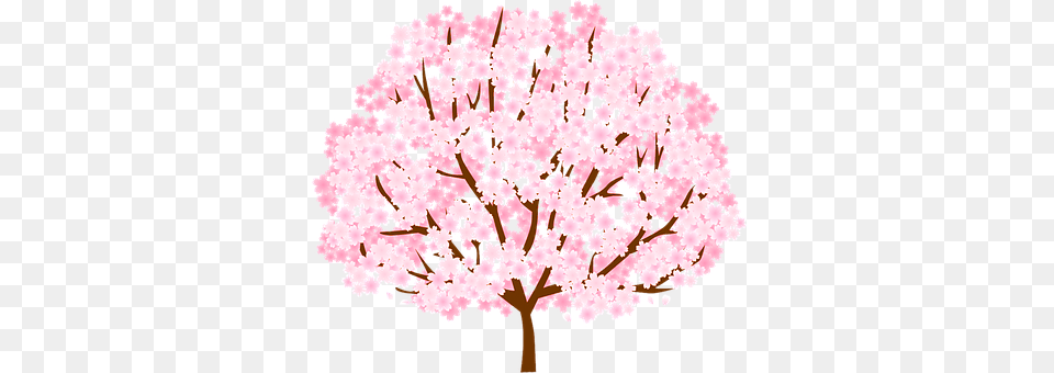 Tree Cherry Blossom Spring Nature Ichinoehidamari Orthopedic Clinic, Flower, Plant, Cherry Blossom, Chandelier Free Png Download