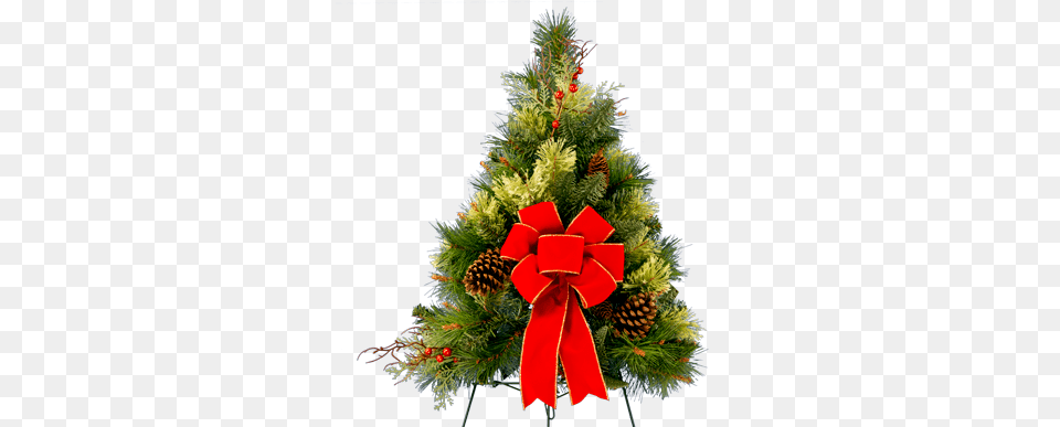 Tree Christmas Day, Plant, Christmas Decorations, Festival Png Image