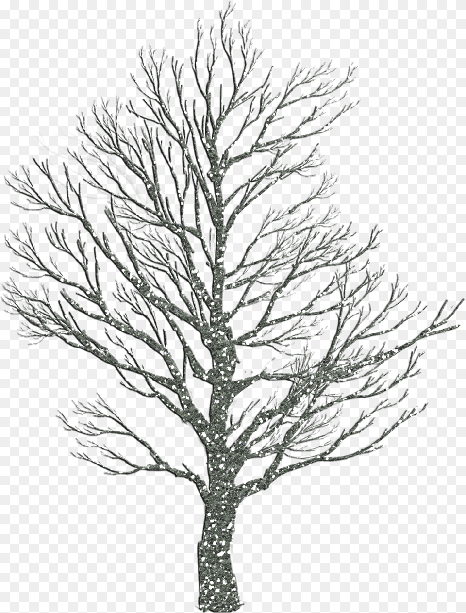 Tree Christmas Holiday Picture Sad Tree Wallpaper Hd, Plant, Art, Drawing Png