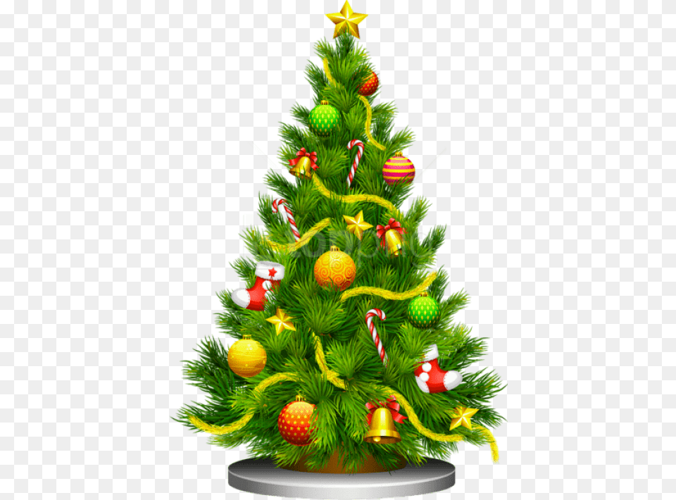 Tree Christmas Vector, Plant, Christmas Decorations, Festival, Christmas Tree Png
