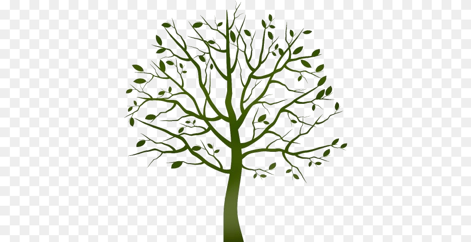 Tree Clearing Images Tree Clipart Background, Oak, Plant, Potted Plant, Sycamore Free Transparent Png