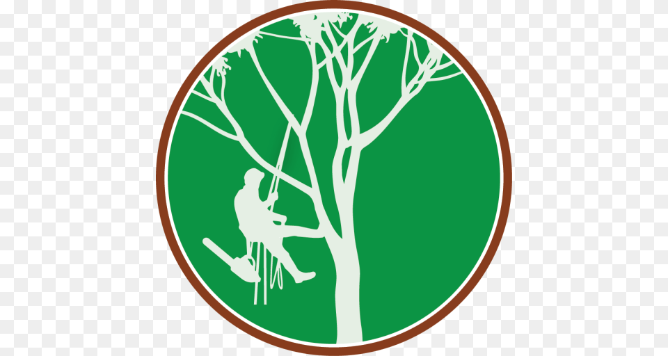 Tree Climber Logos, Plant, Photography, Vegetation, Utility Pole Free Transparent Png