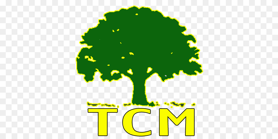 Tree Climbers Malaysia About Us, Green, Plant, Vegetation, Advertisement Free Transparent Png