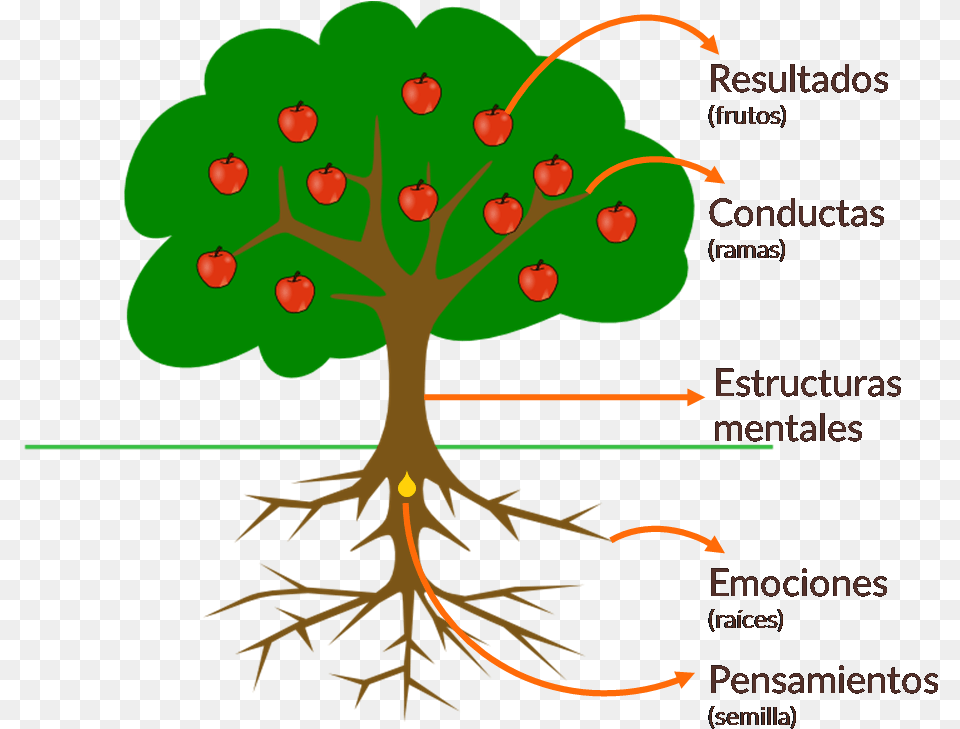 Tree Clip Art, Plant, Root, Land, Nature Png Image