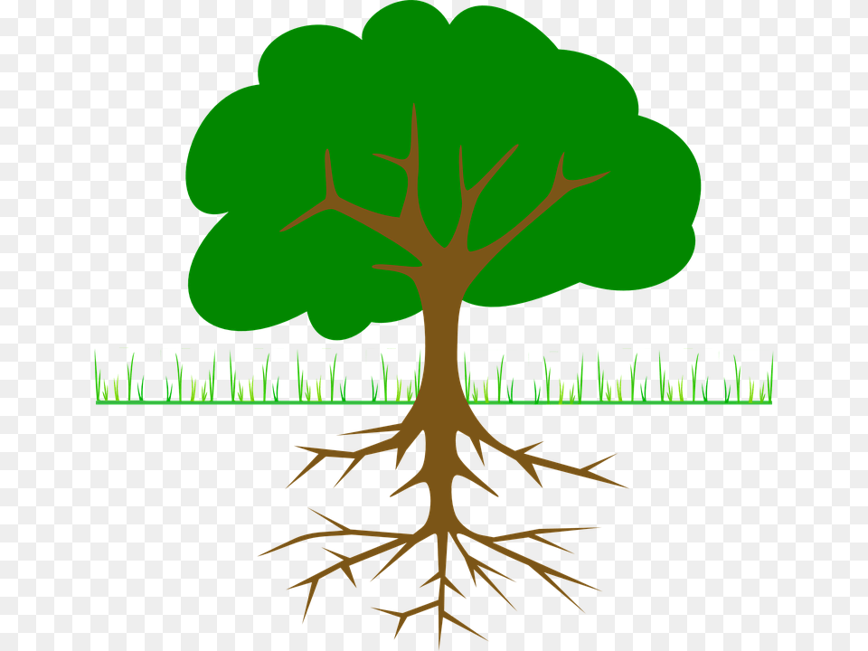 Tree Clip Art, Plant, Root, Vegetation Free Transparent Png