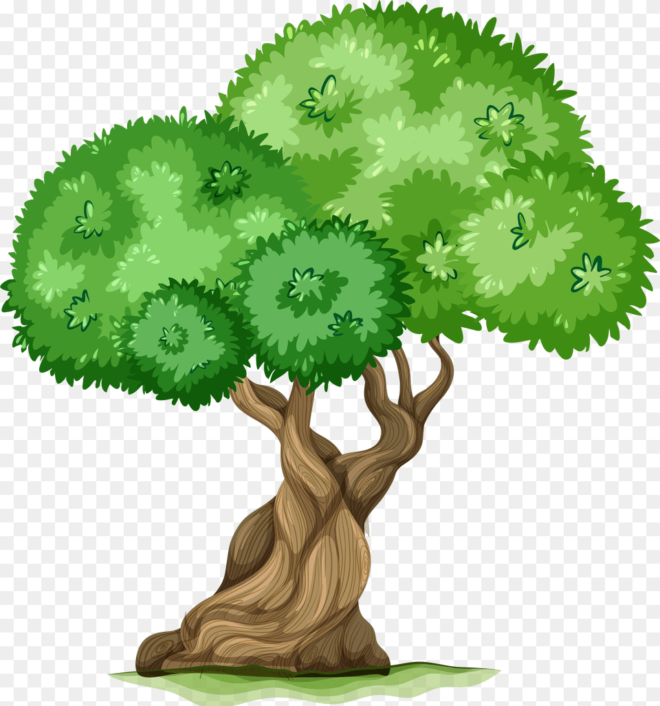 Tree Clip Art, Plant, Potted Plant, Vegetation, Conifer Png Image