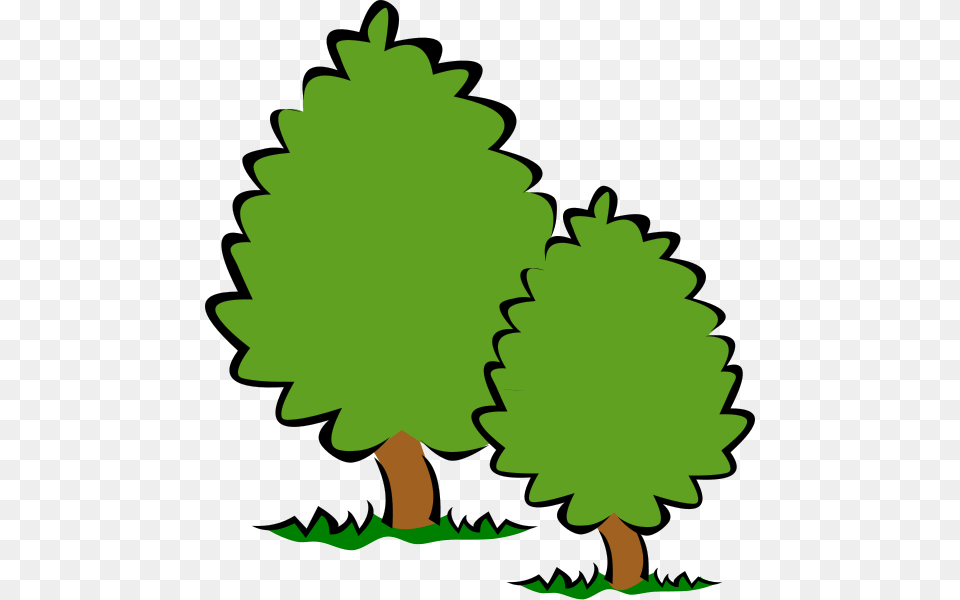 Tree Clip Art, Conifer, Green, Plant, Leaf Free Png