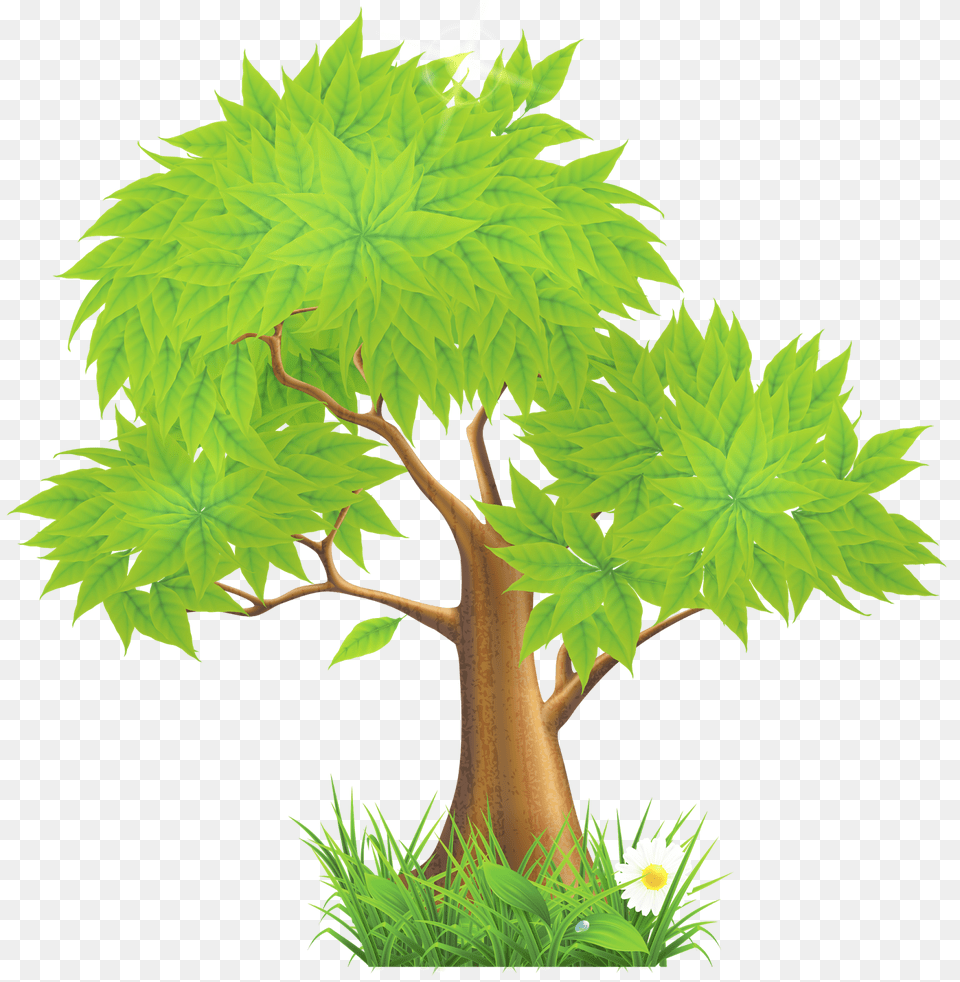 Tree Clip Art, Green, Leaf, Oak, Plant Png