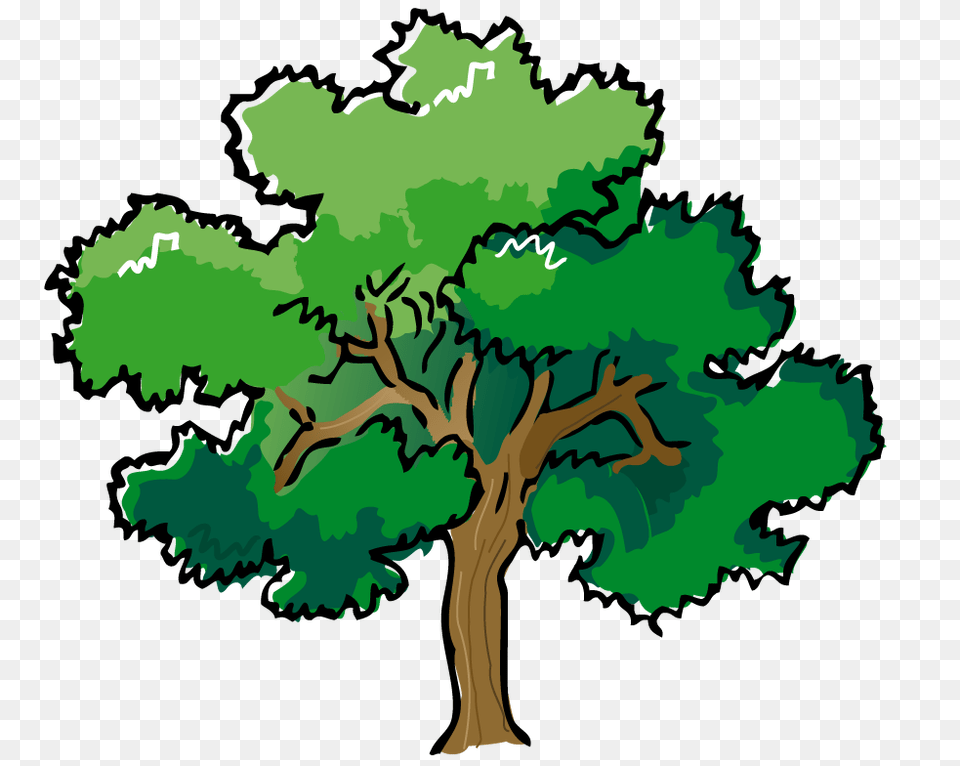 Tree Clip Art, Sycamore, Plant, Oak, Vegetation Free Transparent Png