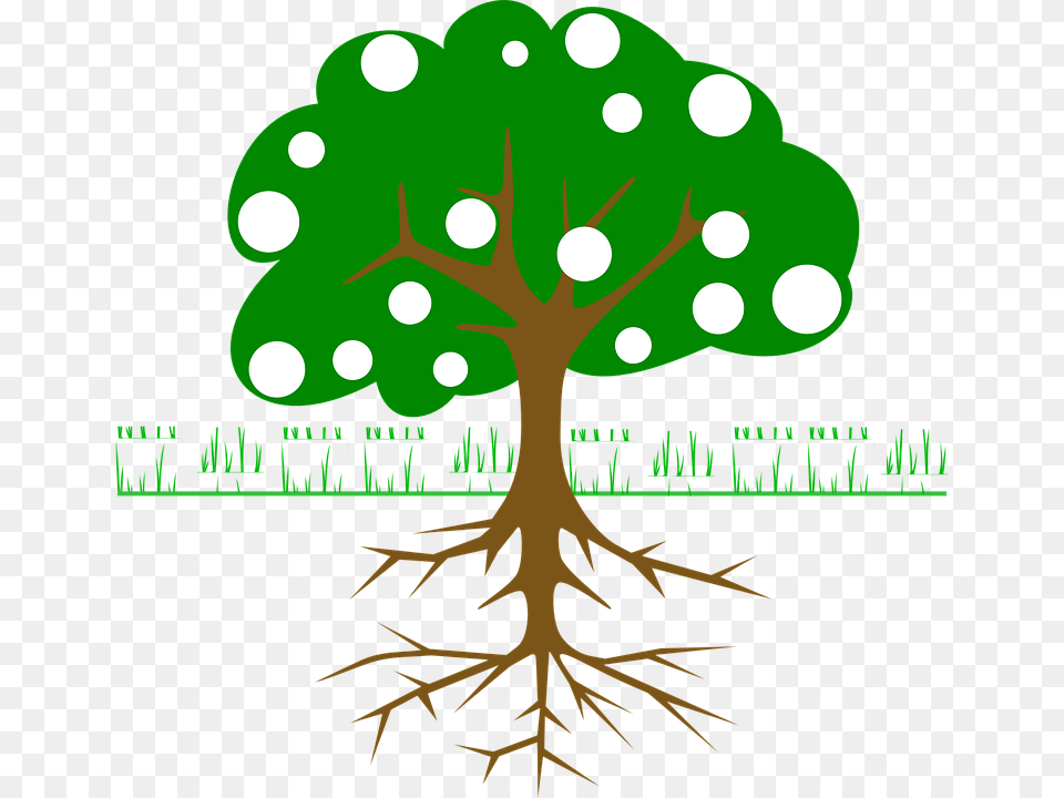 Tree Clip Art, Plant, Root, Vegetation, Animal Free Transparent Png