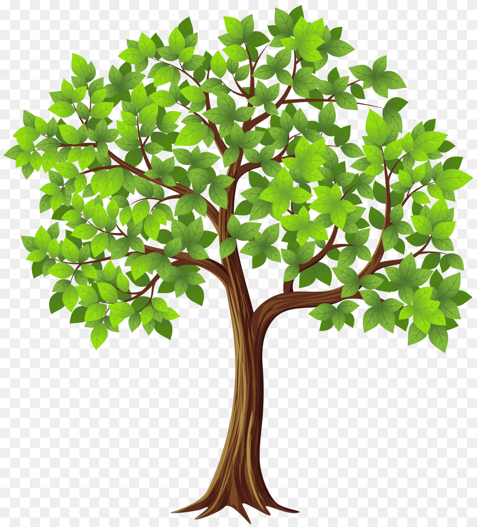 Tree Clip Art Free Png Download