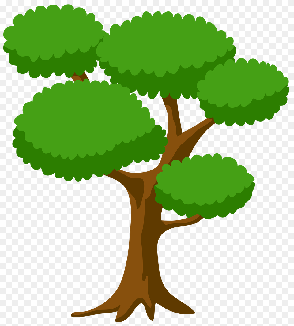 Tree Clip Art, Plant, Potted Plant, Pine, Tree Trunk Free Transparent Png