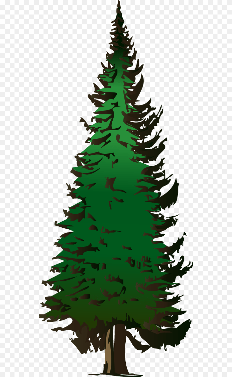 Tree Clip Art Evergreen Tree, Fir, Plant, Pine, Green Png