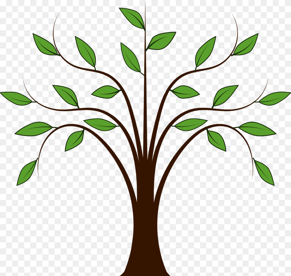Tree Clip Art For Kids, Graphics, Herbal, Herbs, Leaf Free Png