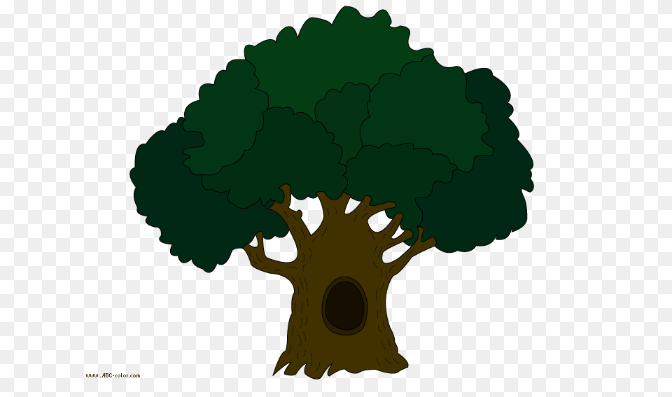 Tree Clip Art Oak Tree, Plant, Broccoli, Food, Produce Free Png