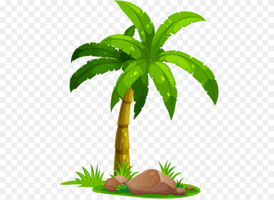 Tree Clip Art Palm Tree, Palm Tree, Plant, Vegetation Free Transparent Png