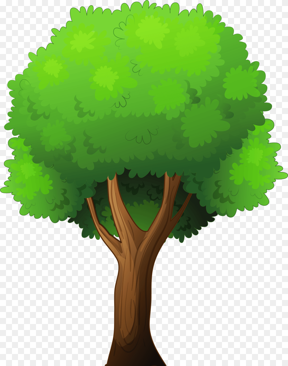 Tree Clip Art Transparent Background Clipart Tree, Green, Plant, Vegetation, Nature Png