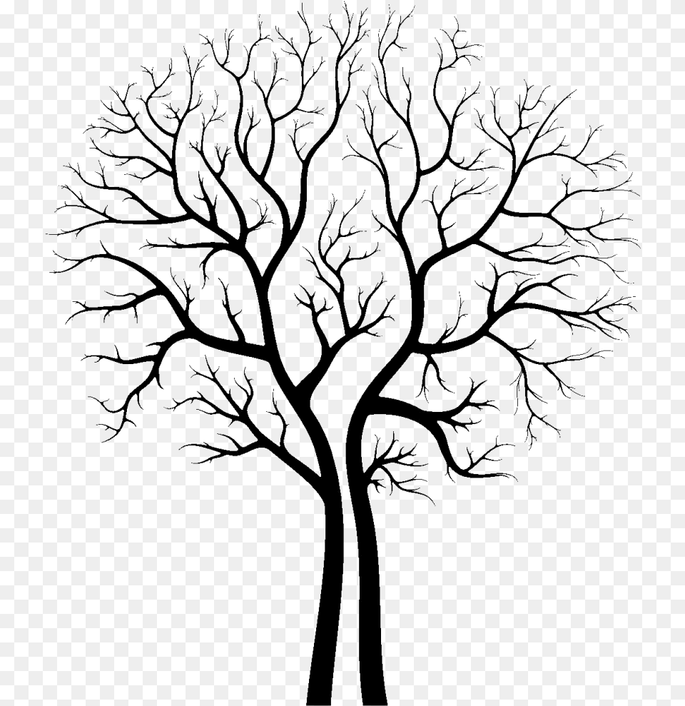 Tree Clip Art Transprent Tree Drawing To Trace, Nature, Night, Outdoors, Astronomy Free Transparent Png