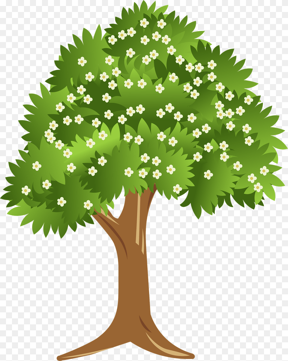 Tree Clipart, Green, Vegetation, Sycamore, Plant Free Transparent Png