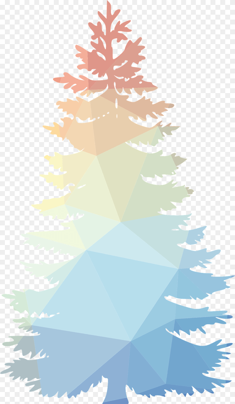 Tree Clipart, Plant, Fir, Pine, Ice Free Png
