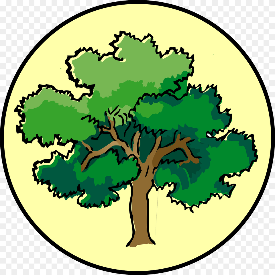 Tree Clipart, Oak, Plant, Sycamore, Vegetation Free Png Download