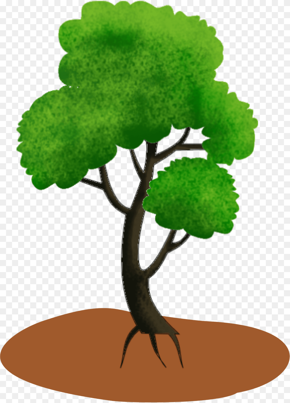 Tree Clipart, Plant, Green, Oak, Sycamore Png Image