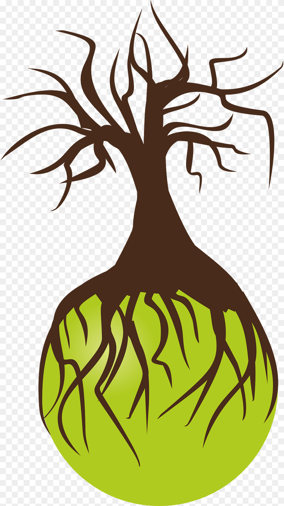 Tree Clipart, Plant, Root Free Transparent Png