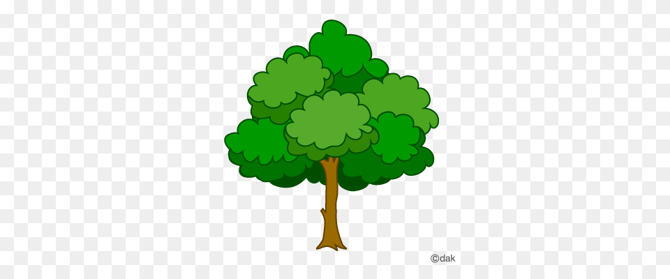 Tree Clipart, Green, Plant, Vegetation Free Transparent Png