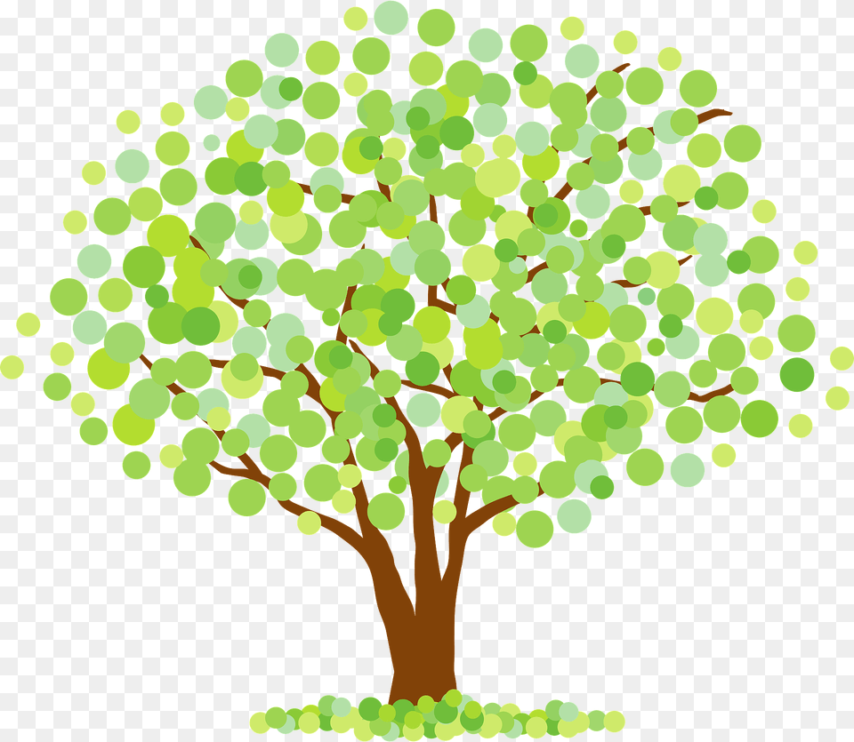 Tree Clipart, Plant, Sycamore, Oak, Art Free Png