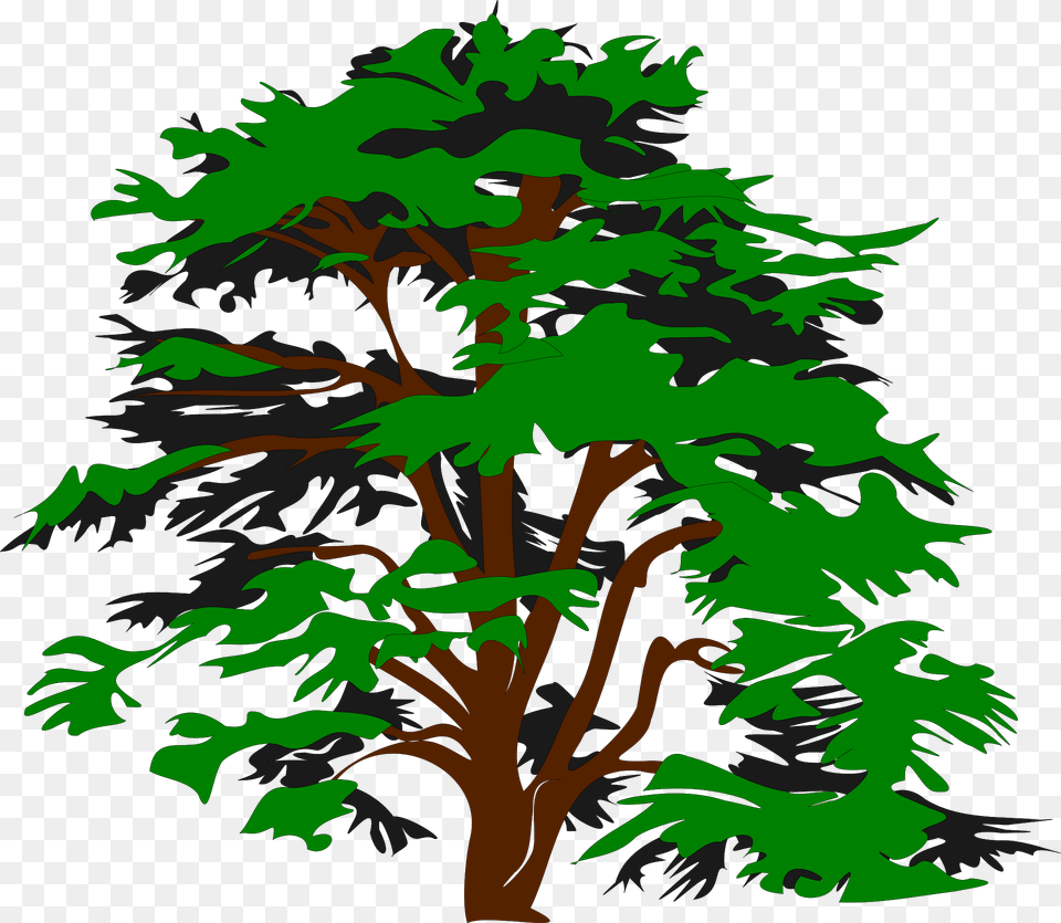 Tree Clipart, Vegetation, Plant, Green, Outdoors Free Transparent Png