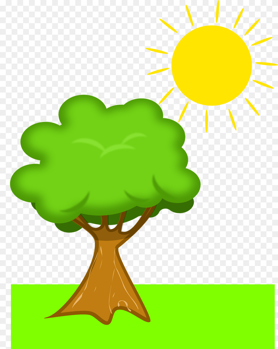 Tree Clipart, Green, Plant, Vegetation, Outdoors Png Image