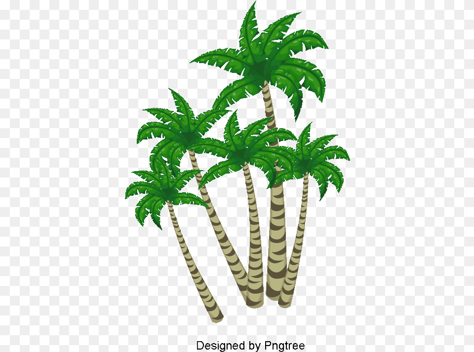 Tree Clipart, Green, Palm Tree, Plant, Vegetation Free Transparent Png