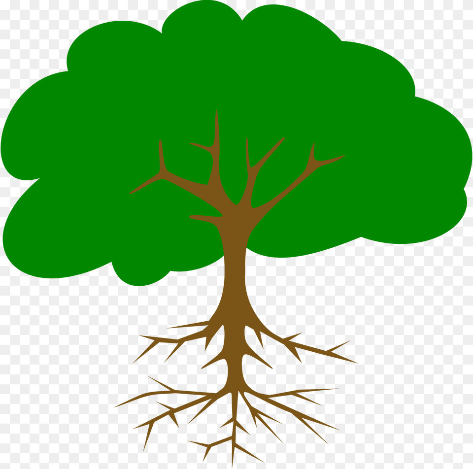 Tree Clipart, Plant, Root, Vegetation Free Png Download