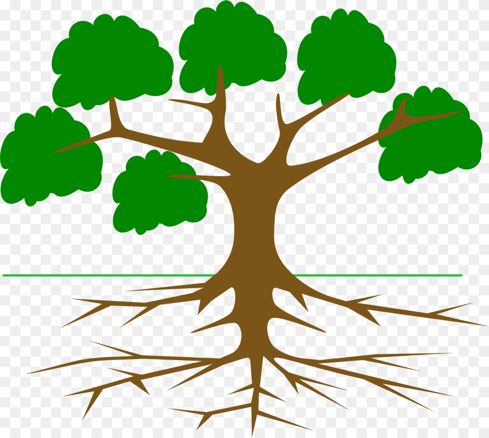 Tree Clipart, Plant, Root, Vegetation, Green Free Png Download