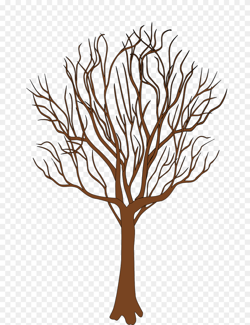 Tree Clipart, Plant, Art, Drawing Png