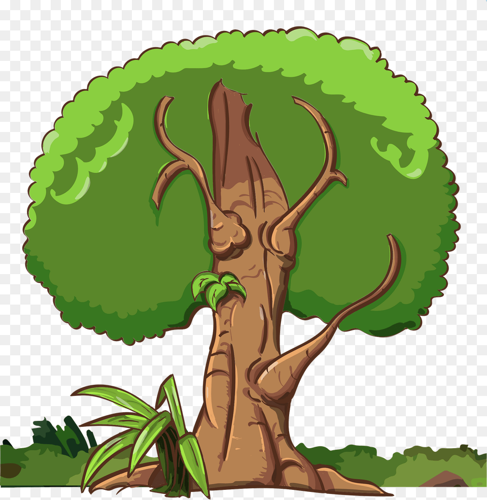 Tree Clipart, Vegetation, Plant, Outdoors, Land Png