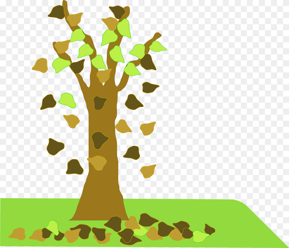 Tree Clipart, Plant, Tree Trunk, Oak, Sycamore Png Image