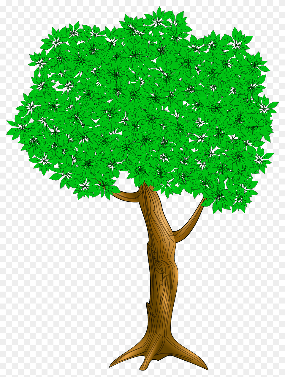 Tree Clipart, Plant, Vegetation, Land, Nature Free Transparent Png