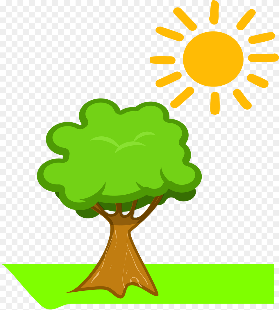 Tree Clipart, Vegetation, Green, Plant, Potted Plant Png