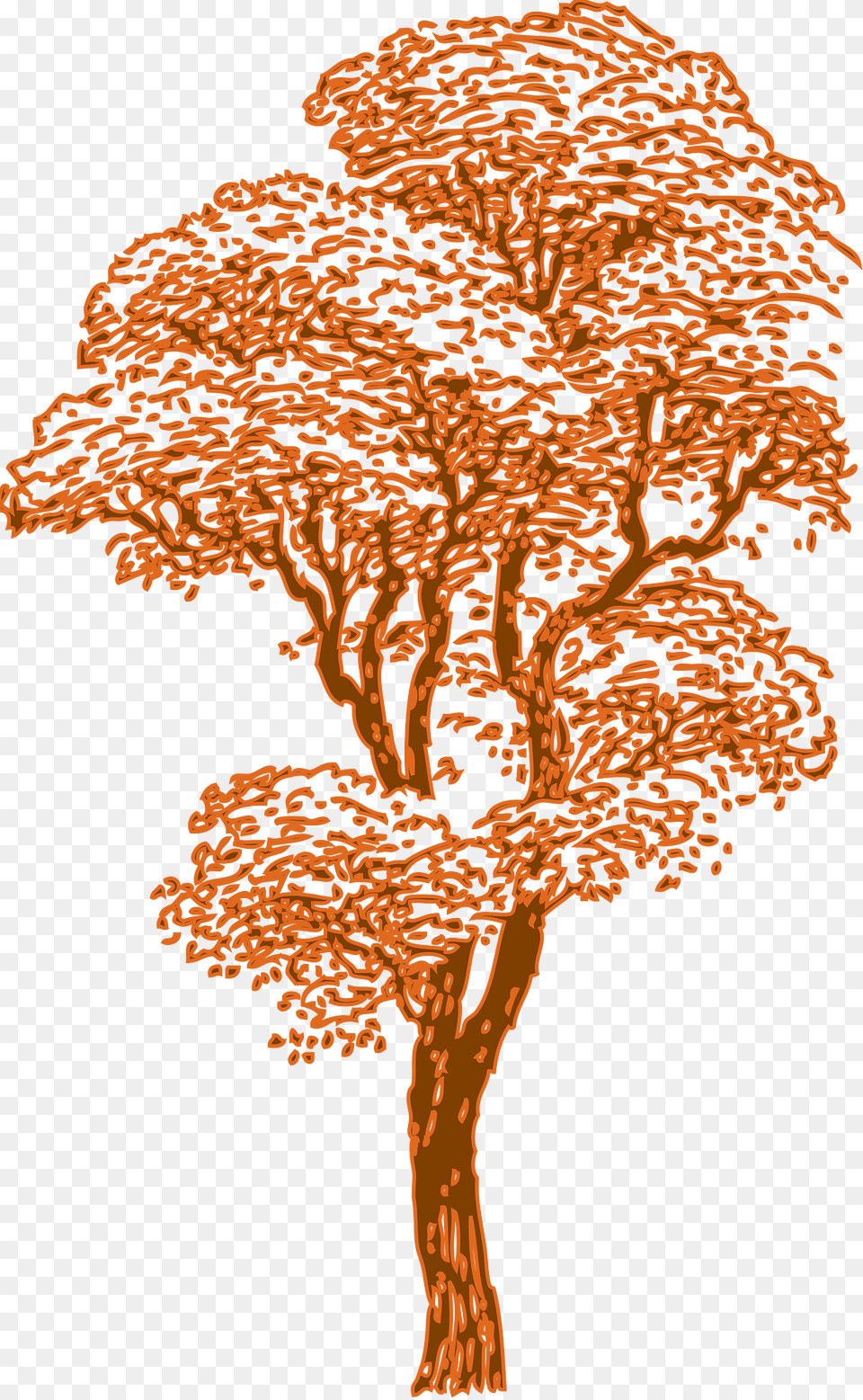 Tree Clipart, Art, Painting, Plant, Oak Free Png Download