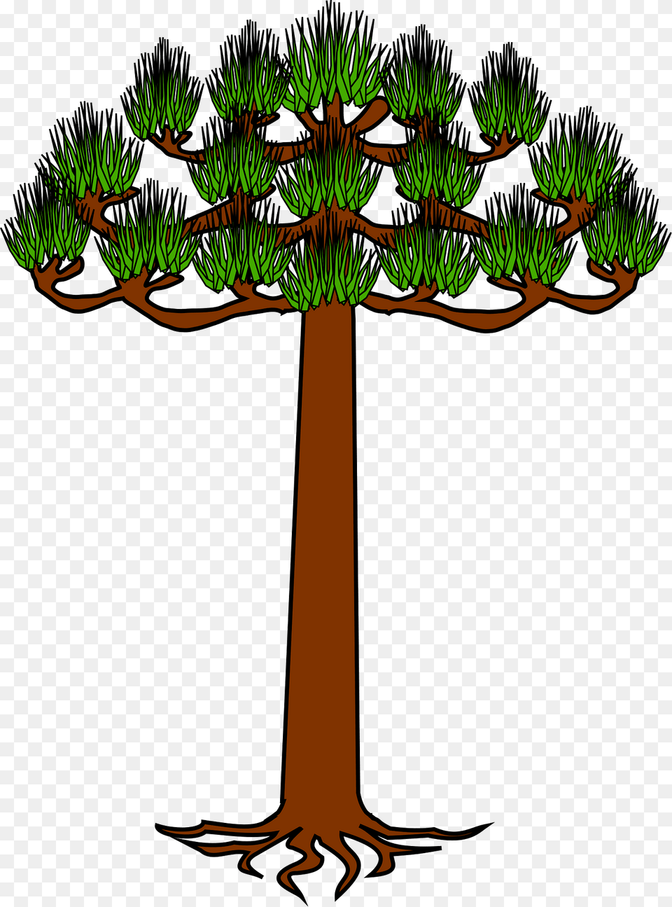 Tree Clipart, Plant, Vegetation, Palm Tree, Potted Plant Free Transparent Png
